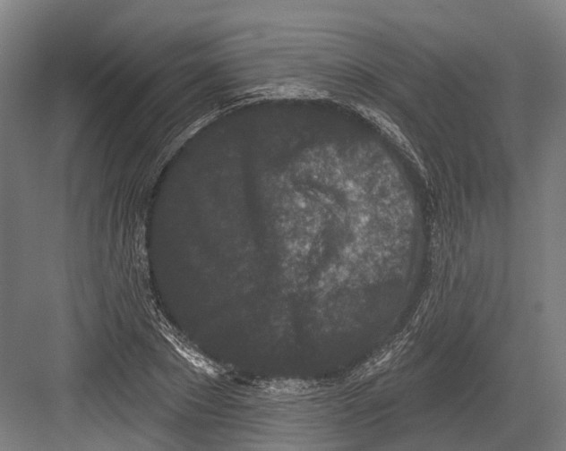 X0000082680881200702161655