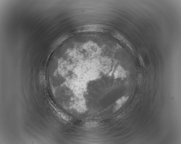 X0000082680882200702161655