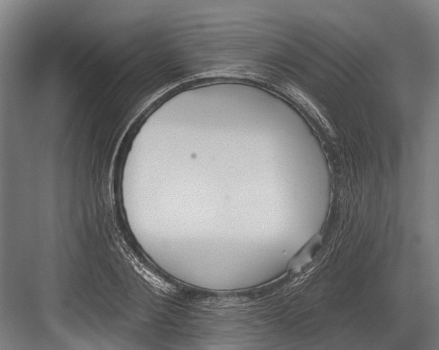 X0000082680884200702161655