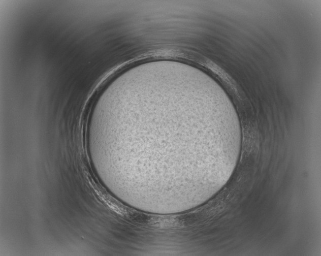 X0000082680886200702161655