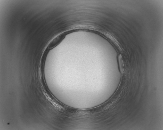 X0000082680888200702161655