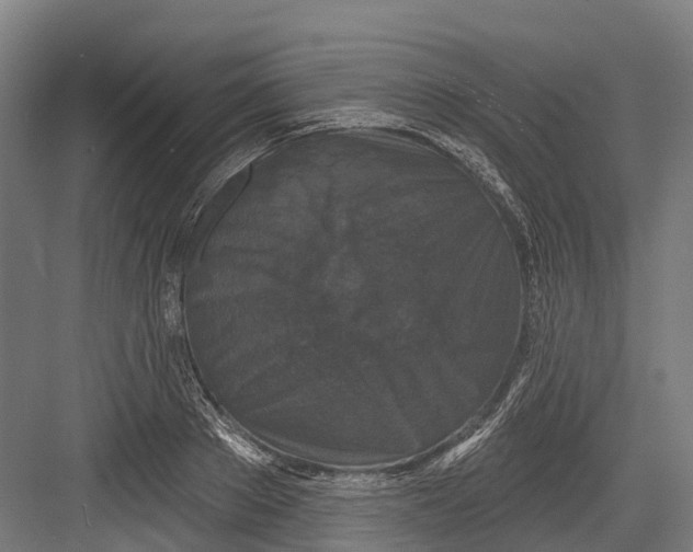 X0000082680889200702161655