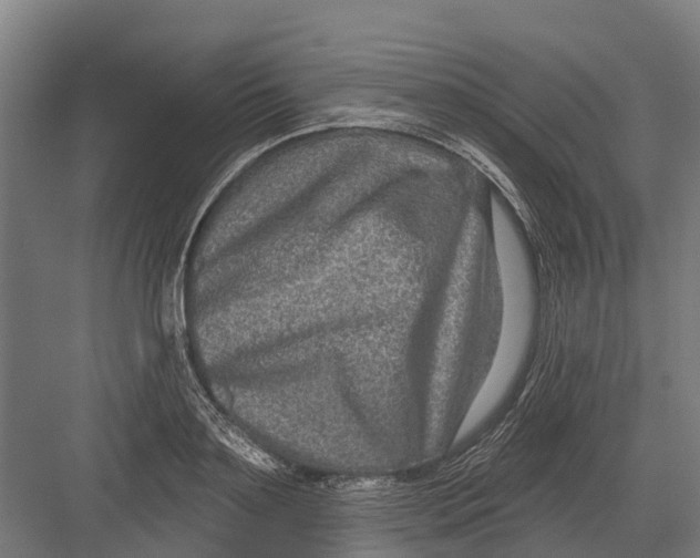 X0000082680891200702161655