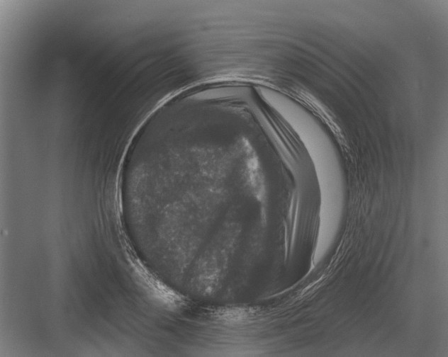 X0000082680892200702161655