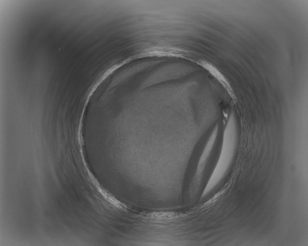 X0000082680893200702161655