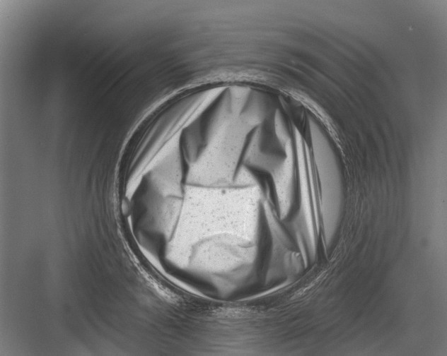 X0000082680894200702161655