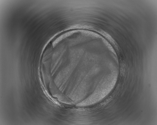 X0000082680896200702161655