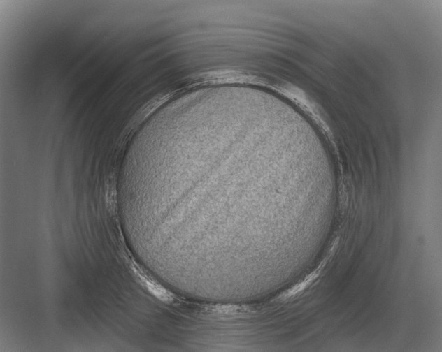 X0000082680897200702161655