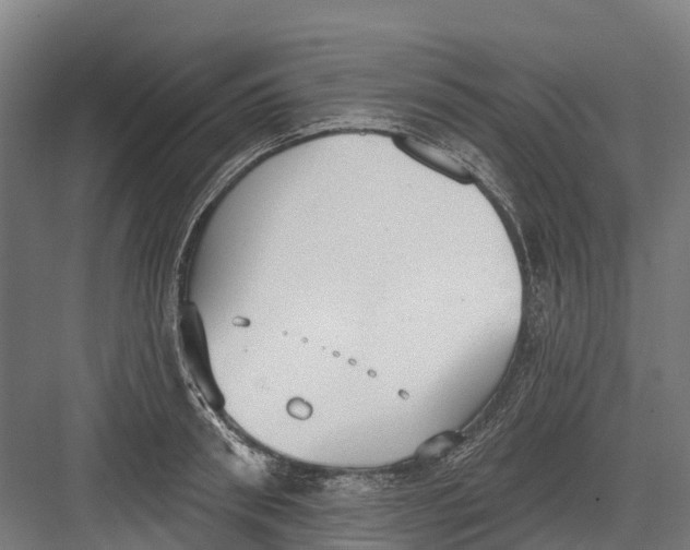 X0000082680898200702161655