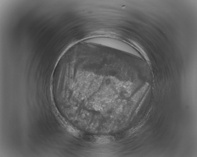 X0000082680899200702161655