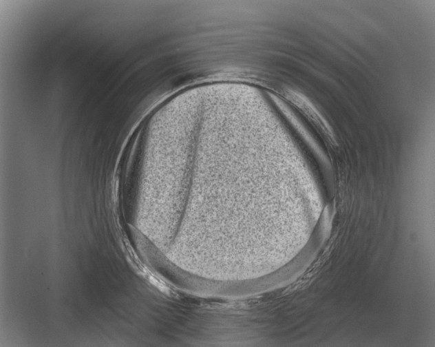 X0000082680900200702161655