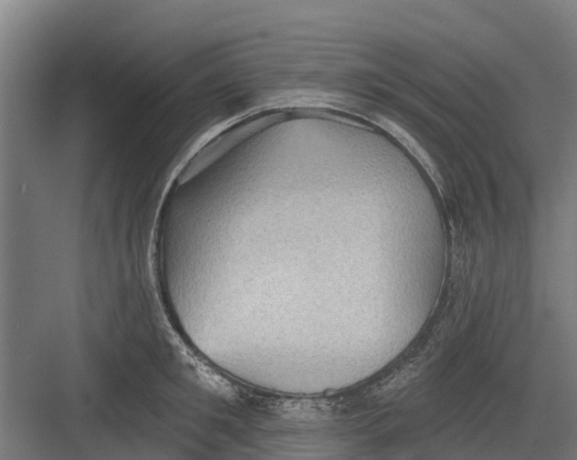 X0000082680901200702161655