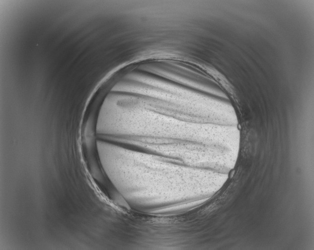 X0000082680904200702161655