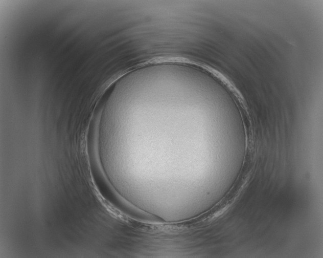 X0000082680905200702161655