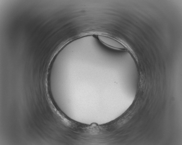 X0000082680906200702161655