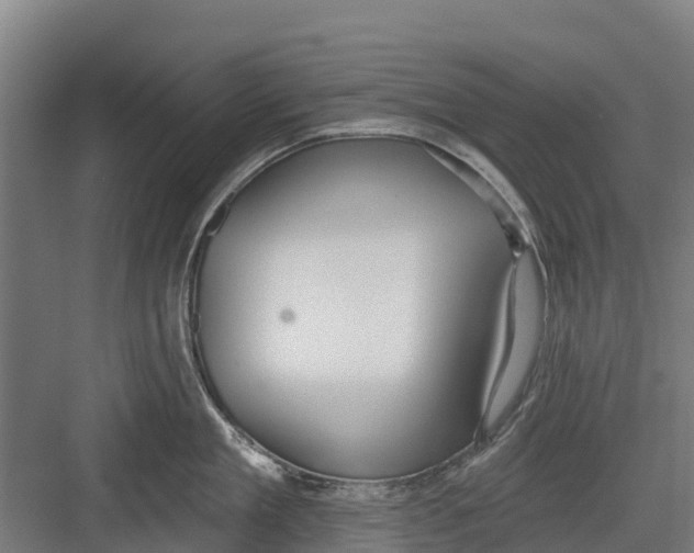 X0000082680909200702161655