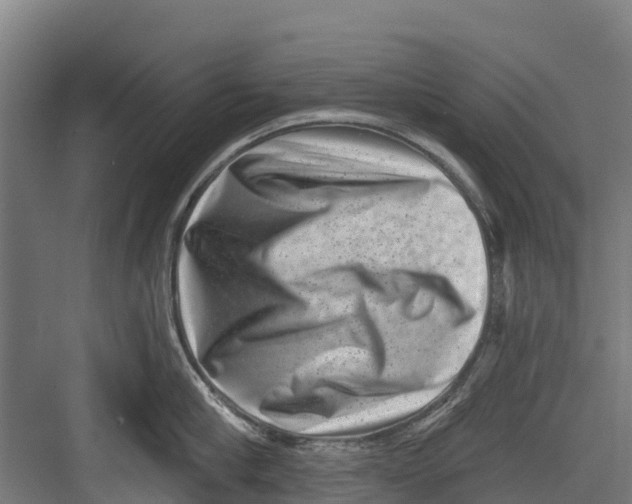 X0000082680910200702161655