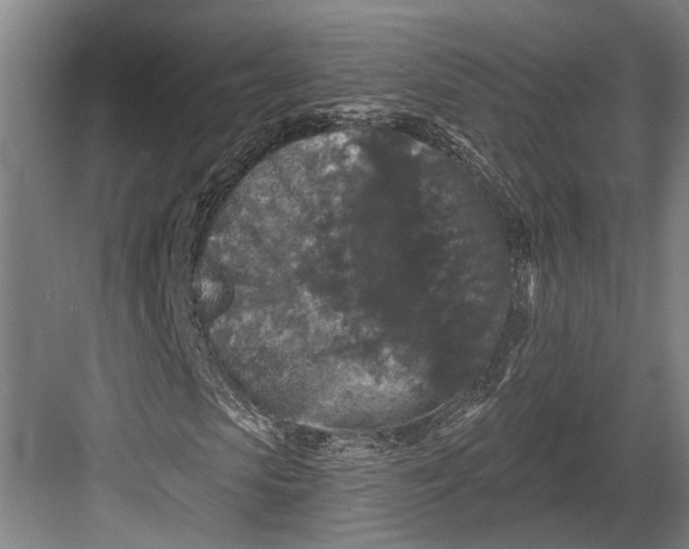 X0000082680913200702161654