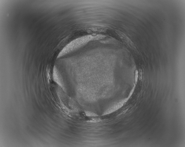 X0000082680915200702161654