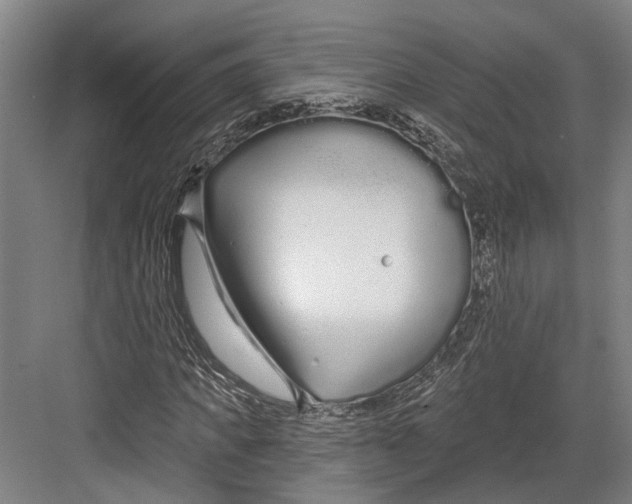 X0000082680917200702161654