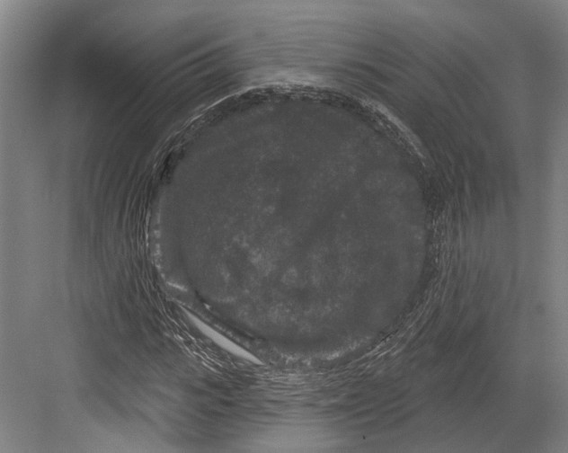 X0000082680919200702161654