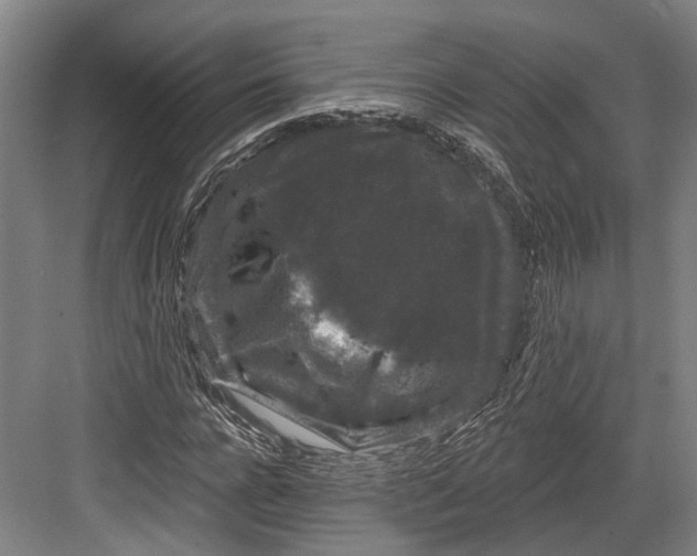 X0000082680920200702161654