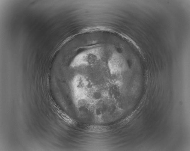 X0000082680921200702161654