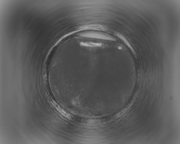 X0000082680923200702161654