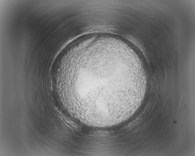 X0000082680925200702161654