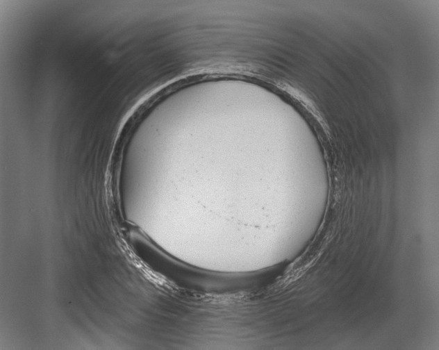 X0000082680928200702161654