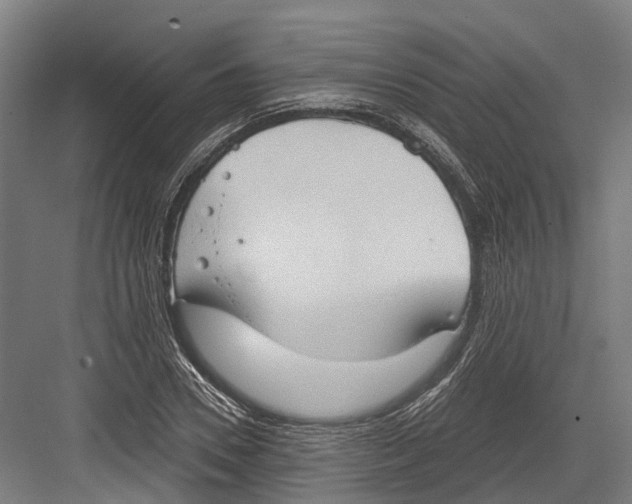 X0000082680930200702161654