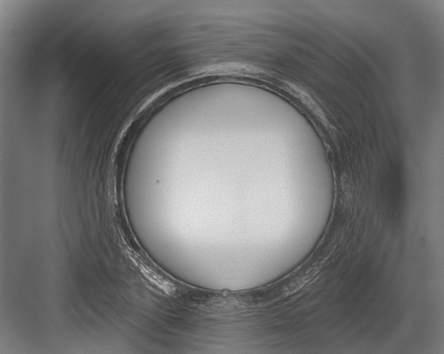 X0000082680931200702161654