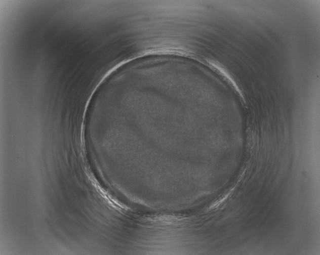 X0000082680932200702161654