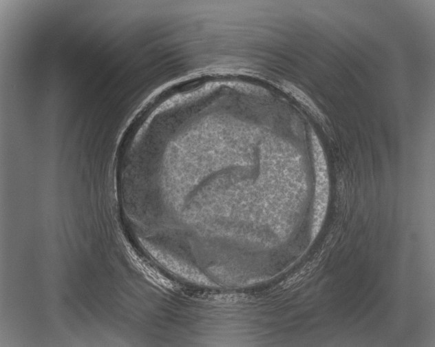 X0000082680934200702161654