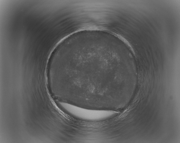 X0000082680935200702161654