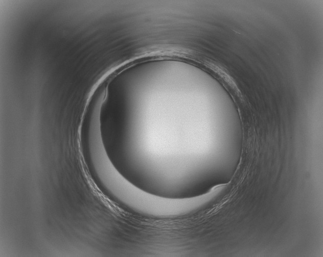 X0000082680936200702161654