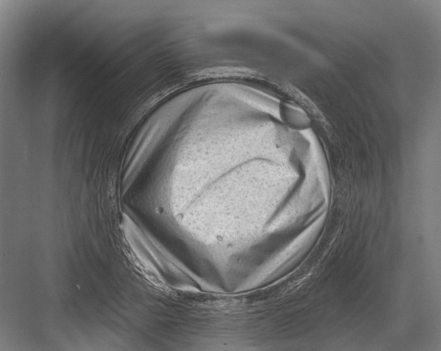 X0000082680937200702161654