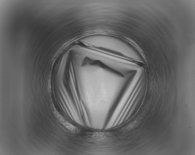 X0000082680938200702161654