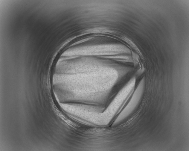 X0000082680939200702161654