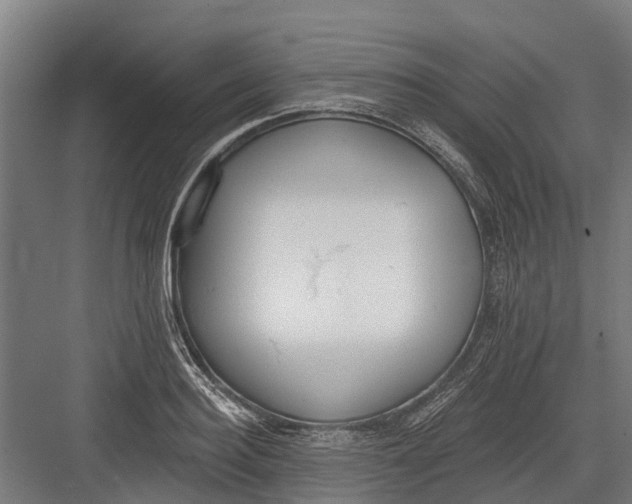 X0000082680940200702161654