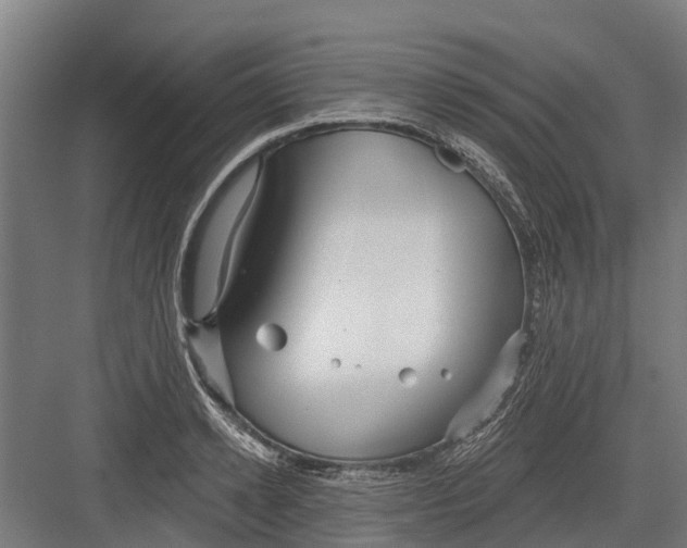 X0000082680942200702161654