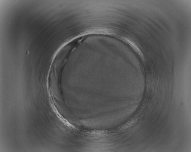 X0000082680944200702161654