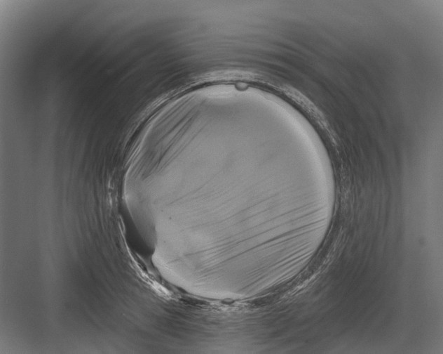 X0000082680945200702161654