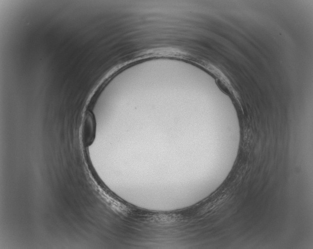 X0000082680947200702161654