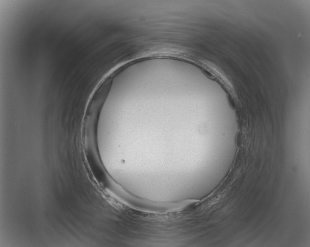 X0000082680948200702161655