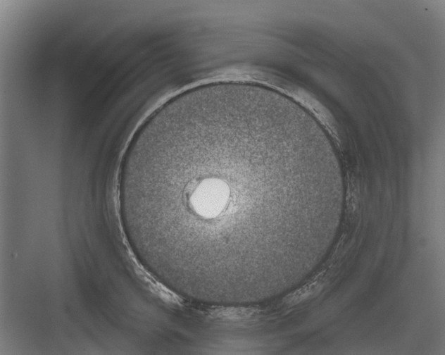 X0000082680950200702161655