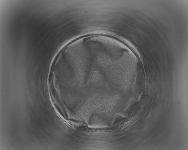 X0000082680951200702161655