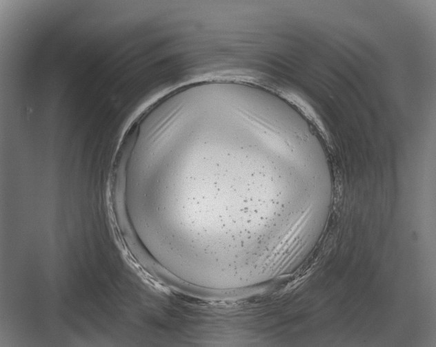 X0000082680952200702161655