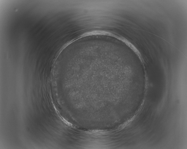 X0000082680953200702161655