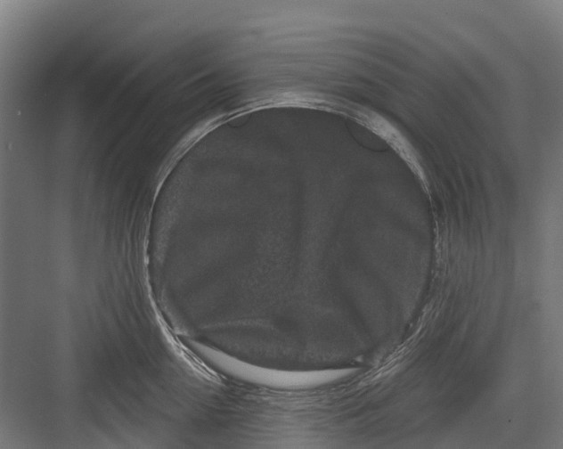 X0000082680954200702161655